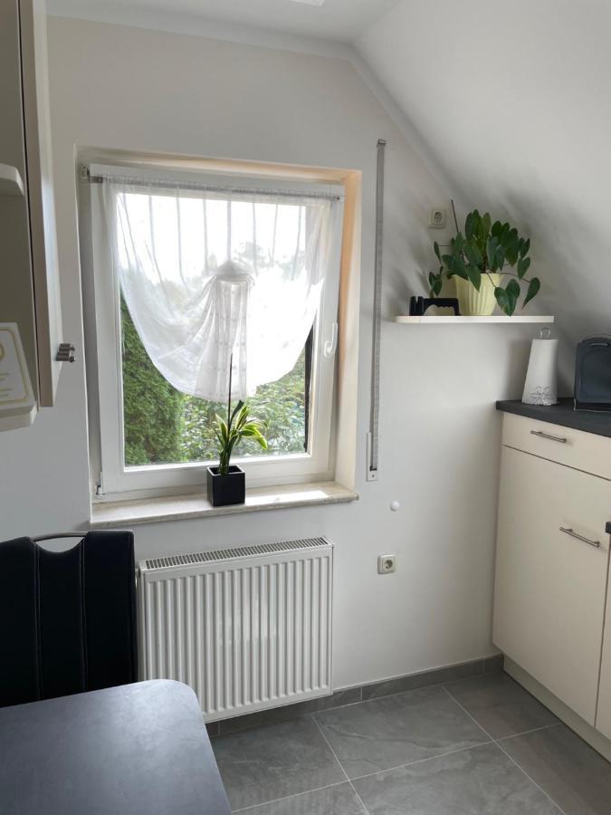 Geyer * Grafenhainichen